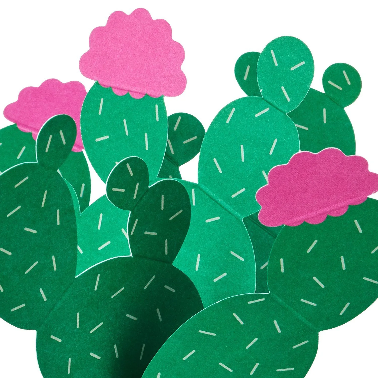 Imagen del producto 9